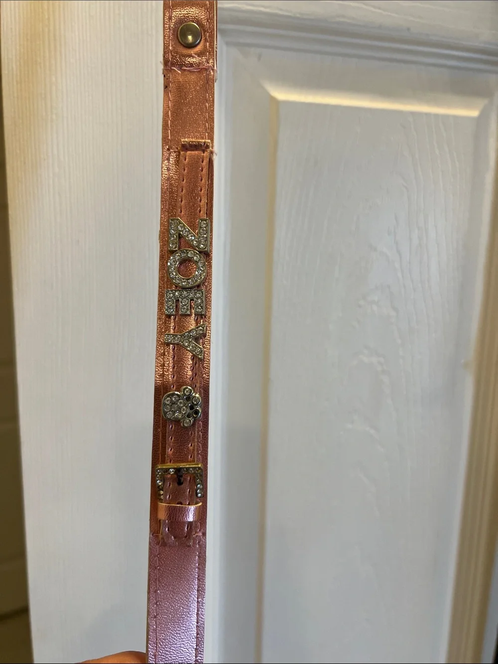 Dog Leashes that can be Personalized